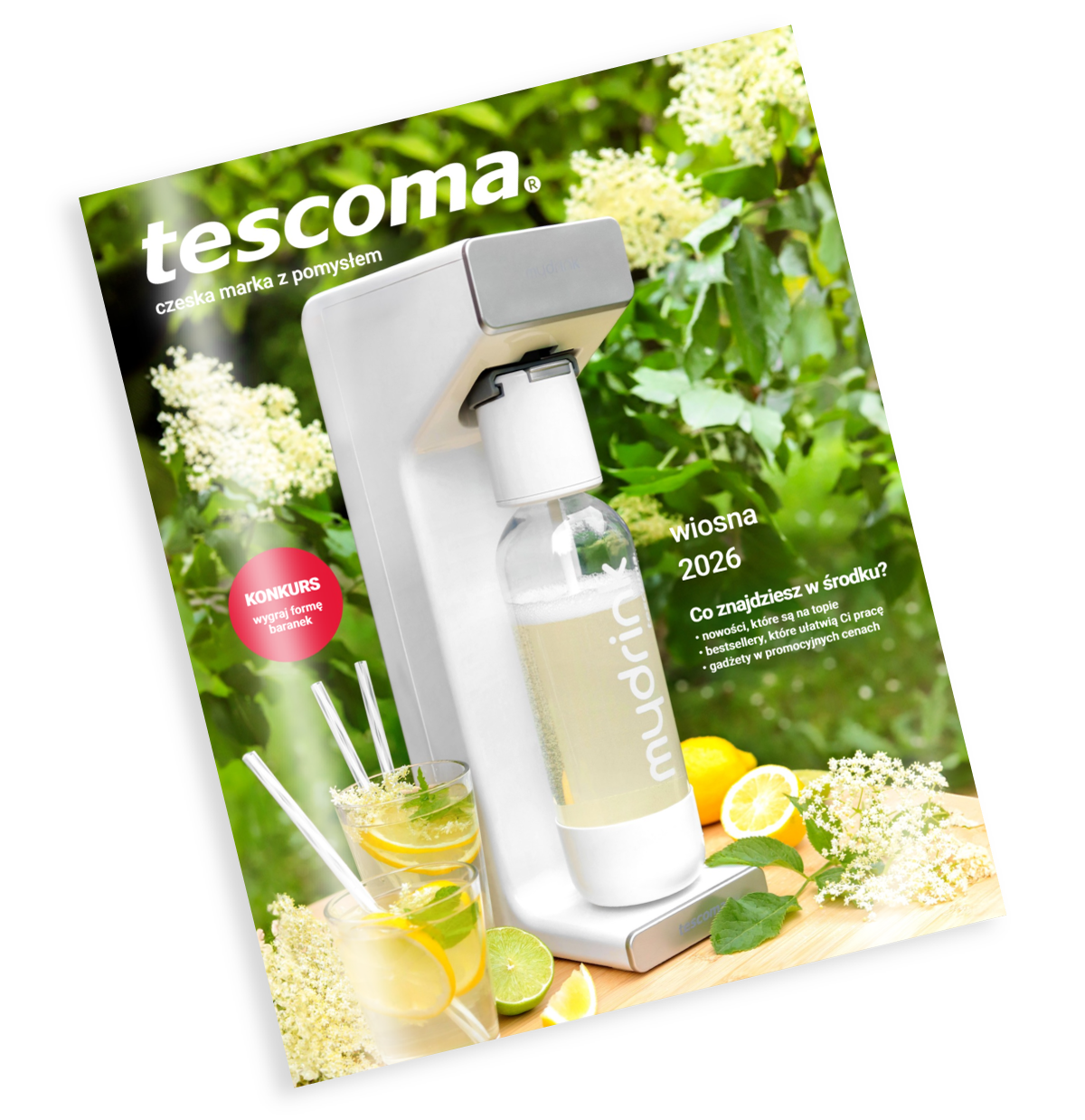 Ulotka wiosna 2026 - obrazek