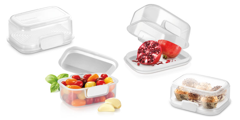 caixas FreshZONE transparentes para conservar alimentos 