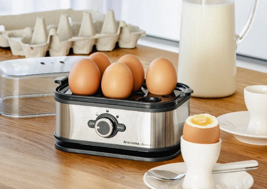 Elektrický varič na vajcia PRESIDENT