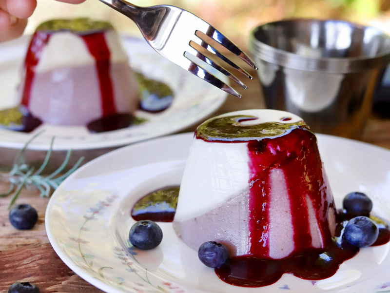 Čučoriedková panna cotta