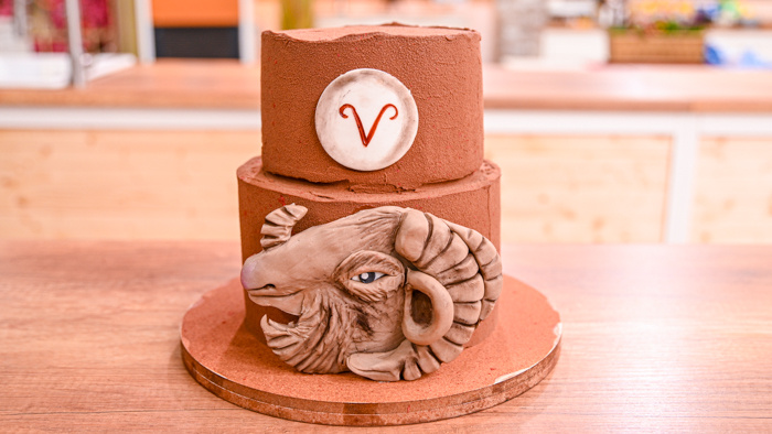 Torta horoskop - obrázok 2