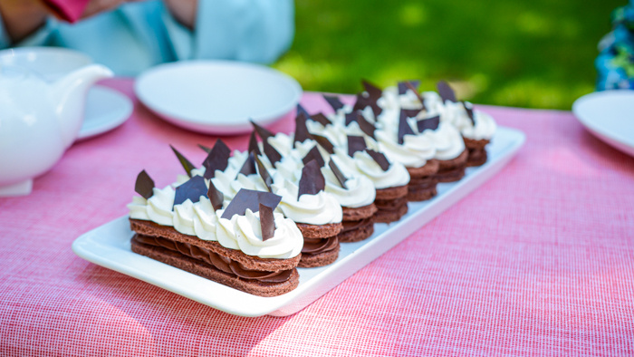 Harlekyn 1 - obrázok